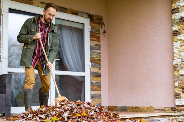 Attic Cleanout Services in Dover, FL